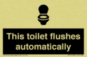 this-toilet-flushes-automatically~